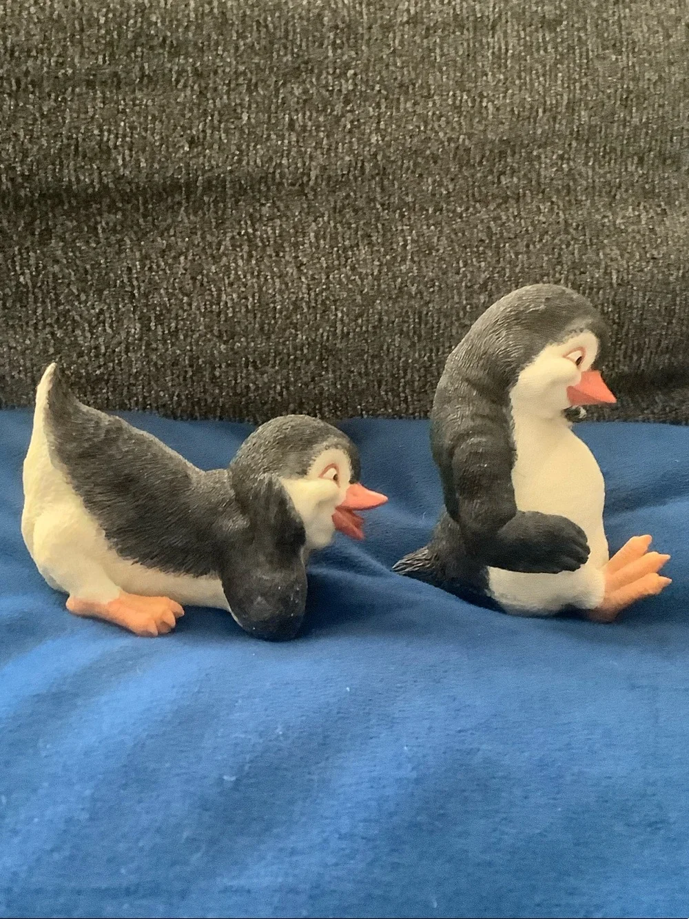 N/A charming penguin